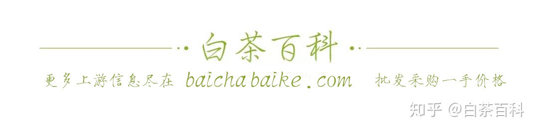 福建白茶有浙江安吉白茶到底有哪些不同？-福建白茶和福鼎白茶