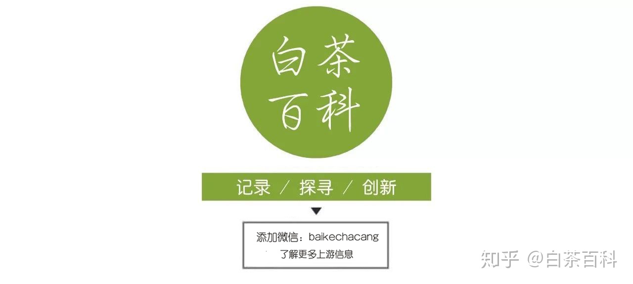 福建白茶有浙江安吉白茶到底有哪些不同？-福建白茶和福鼎白茶