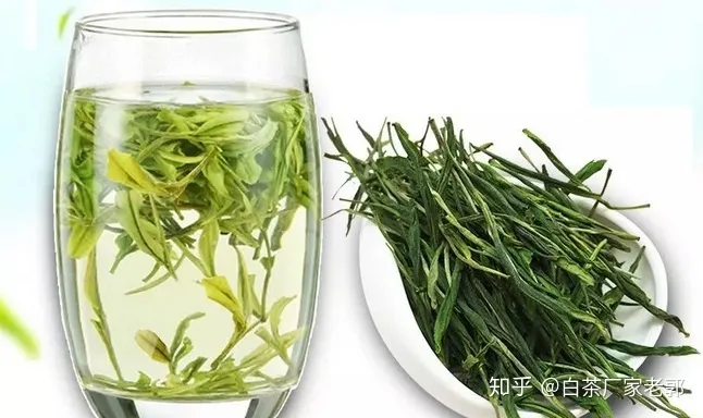 你还要被安吉白茶“误会”多久？-安吉白茶的功效与作用介绍