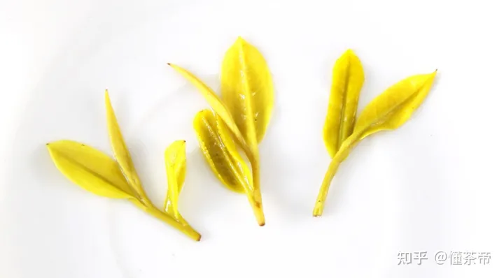 这些茶界中的“变态”，您都喝过几种？-茶界中国第九集