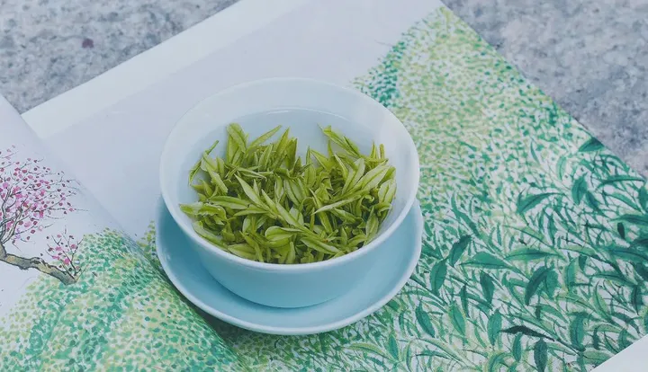 安吉白茶丨春日轻甜-安吉白茶都有什么功效和作用