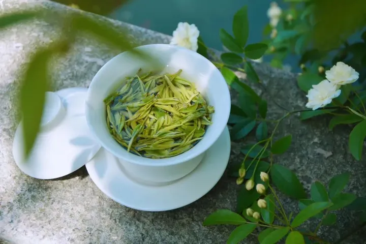 安吉白茶丨春日轻甜-安吉白茶都有什么功效和作用