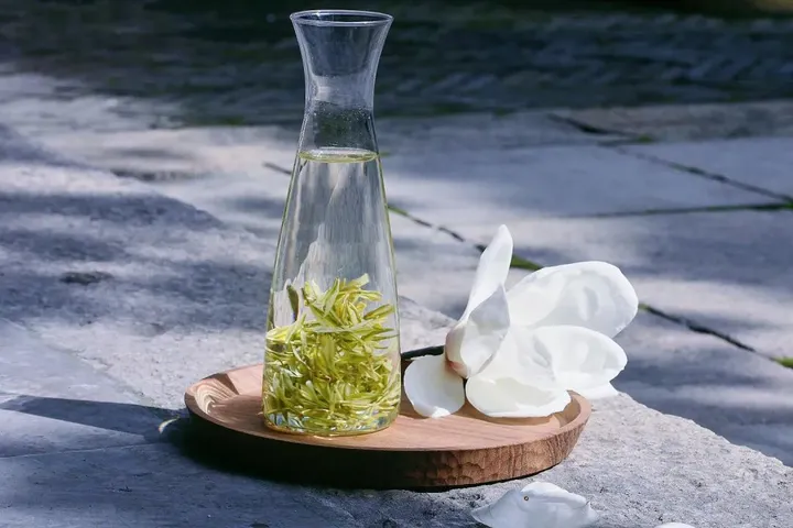 安吉白茶丨春日轻甜-安吉白茶都有什么功效和作用