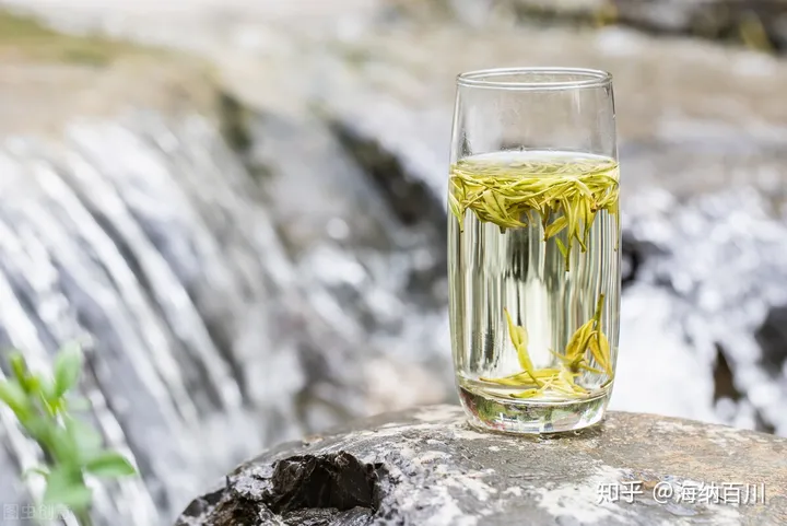 福鼎白茶与安吉白茶：所属茶系、感官特征、产地、品种、都不同-福鼎白茶与安吉白茶区别