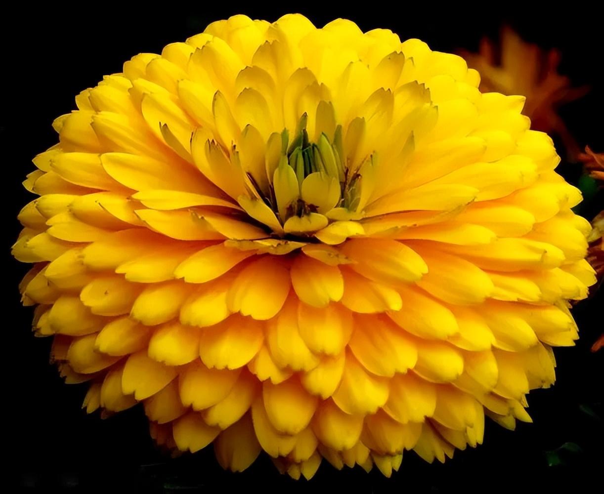 夏天喝什么茶最合适，下面介绍几款比较合适夏天喝的茶叶-女人夏天喝什么茶好处最多