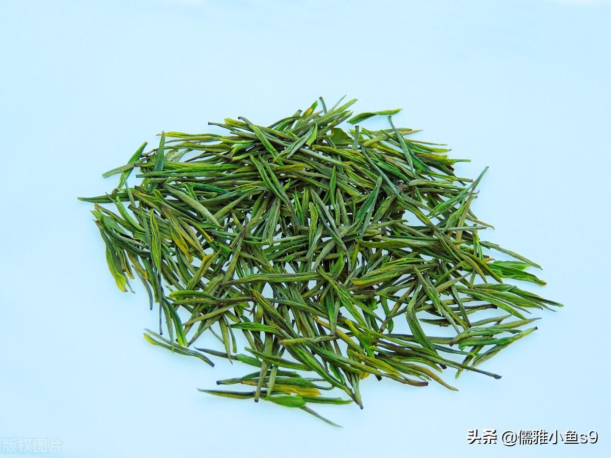 同为白茶，安吉白茶与福鼎白茶，区别在哪？-安吉白茶好喝还是福鼎白茶好喝