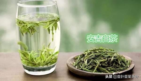 福鼎白茶与安吉白茶的区别-福鼎白茶和安吉白茶有什么区别,哪个正宗