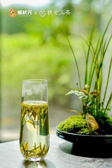 如何分辨安吉白茶？鉴别方法奉上！-安吉白茶怎样辨别质量