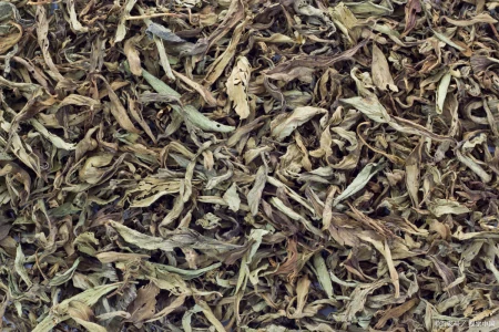 珍稀白茶和安吉白茶：白茶中的两颗璀璨明珠-安吉珍稀白茶250克铁盒价格表