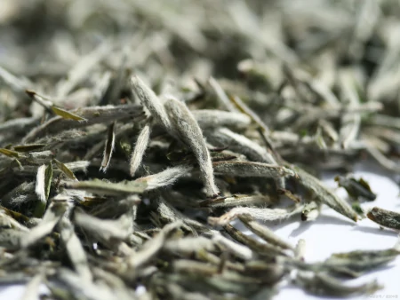 珍稀白茶和安吉白茶：白茶中的两颗璀璨明珠-安吉珍稀白茶250克铁盒价格表