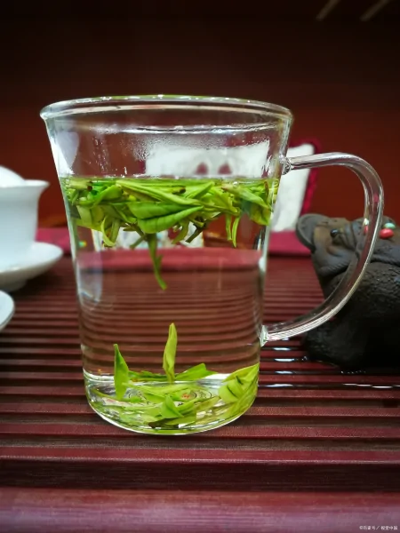 安吉白茶的等级 安吉白茶的特征-安吉白茶如何区分等级