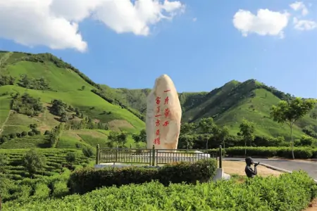 安吉白茶入选联合国教科文组织人类非物质文化遗产代表作名录-安吉白茶的传说