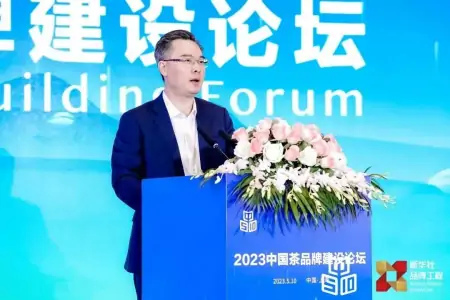 新版“中国茶品牌TOP10”“中国茶企品牌TOP10”发布！-中国茶企业品牌价值排名