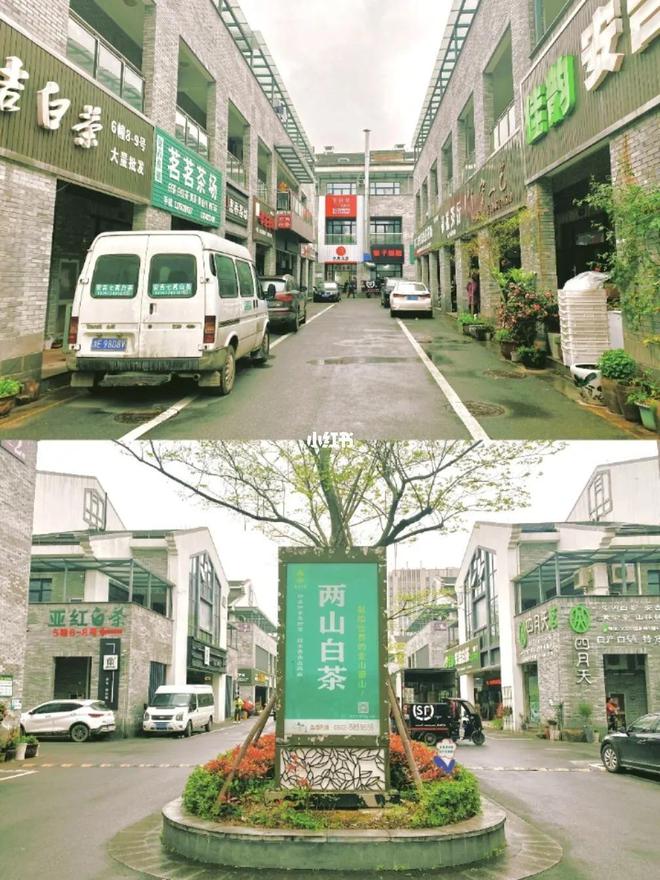 中国茶展上很少见到安吉白茶的影子【中国茶旅专业行】寻踪本土茶-安吉白茶介绍词100字