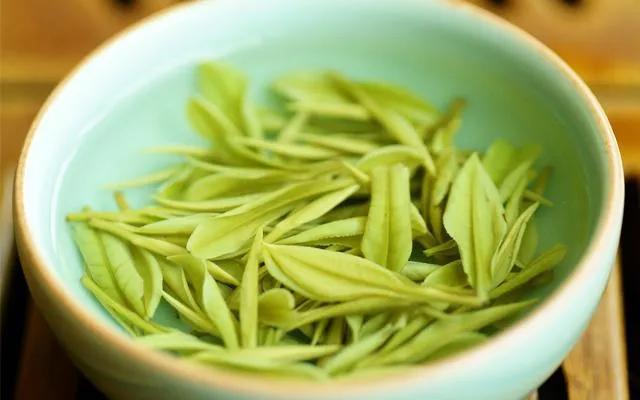 中国茶展上很少见到安吉白茶的影子【中国茶旅专业行】寻踪本土茶-安吉白茶介绍词100字