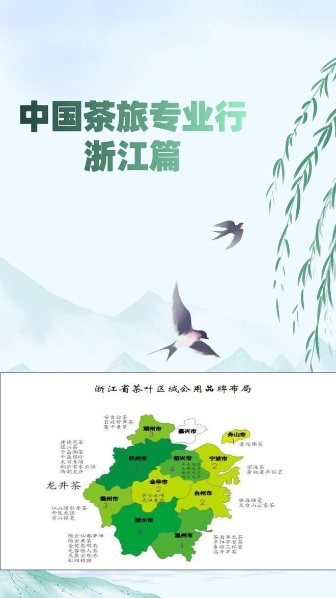 中国茶展上很少见到安吉白茶的影子【中国茶旅专业行】寻踪本土茶-安吉白茶介绍词100字