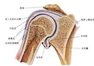 5个动作带您快速缓解肩周炎，肩膀痛的朋友速进！（缓解肩周炎应该做什么呀）