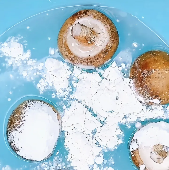 生活中有哪些小妙招？-生活中有哪些小妙招来减少生活垃圾