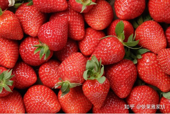 超实用的100个生活小妙招-生活小窍门100妙招简短