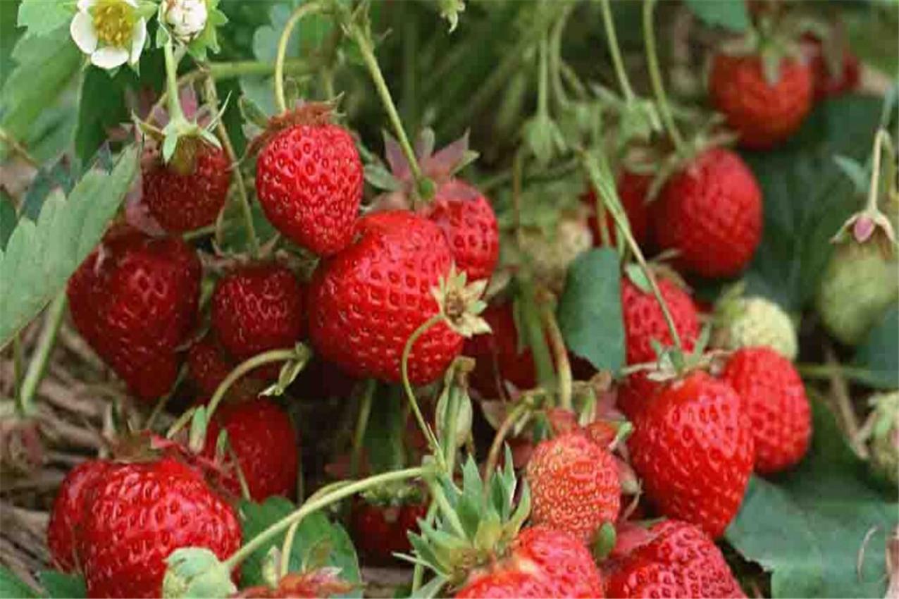 生活里面的18个小窍门，简单好用，可以帮助我们解决一些问题-生活中的小窍门大全100