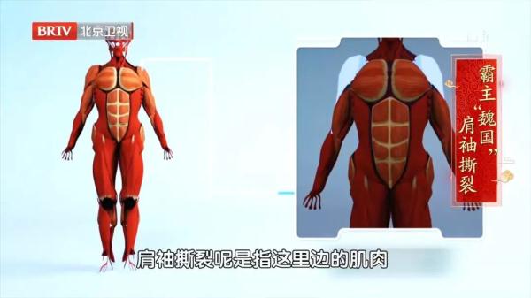 肩痛不一定是肩周炎，可能是某种致残肩病！常做一个动作，护好肩膀（肩痛怎么康复）