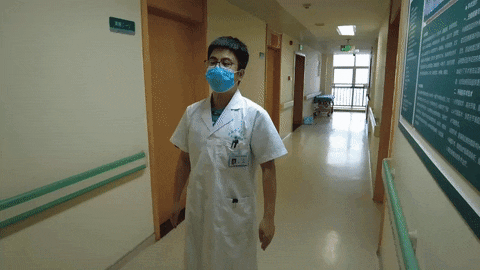 糟糕！我好像被“冻住了”？附解药……（被冻住的动物图片）