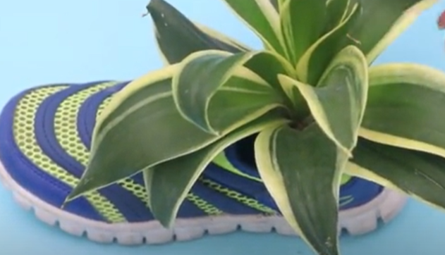 不穿的旧鞋子别急着扔，留在家里“真省钱”，婆婆见了直夸好啊！-扔旧鞋子十大忌讳