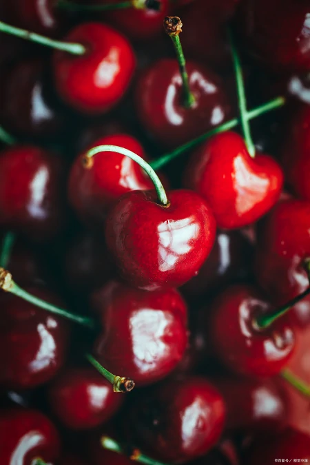 日常分享生活小妙招-分享日常是啥意思