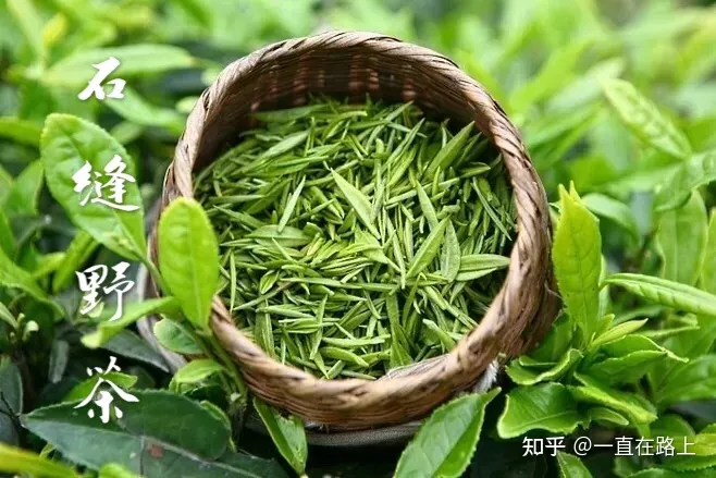 茶叶品牌哪个好？中国十大茶叶排行榜排名推荐（中国茶叶最好的品牌）