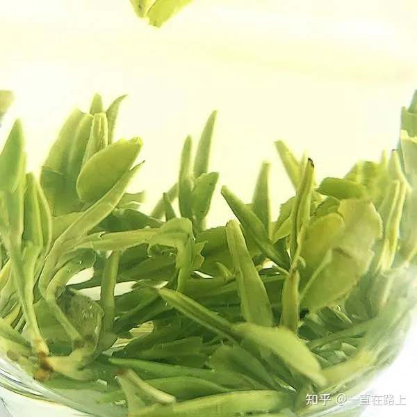 茶叶品牌哪个好？中国十大茶叶排行榜排名推荐（中国茶叶最好的品牌）