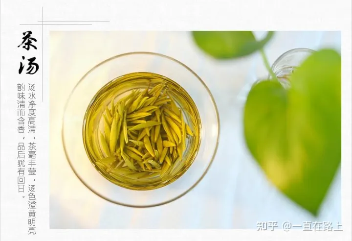 茶叶品牌哪个好？中国十大茶叶排行榜排名推荐（中国茶叶最好的品牌）