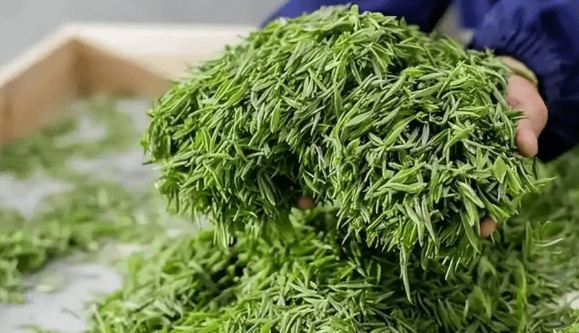 最该曝光的5种茶叶排行榜，提醒：有钱没钱，这种茶叶白送也不喝（茶叶中排名）