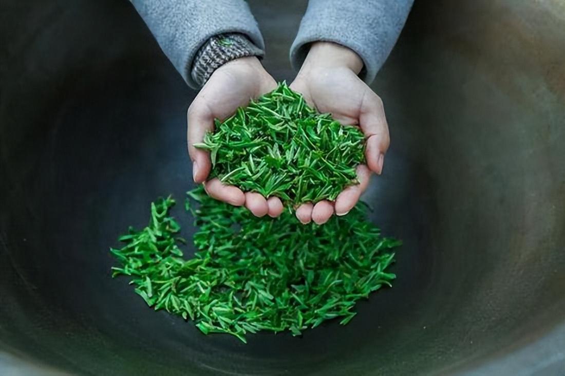 最该曝光的5种茶叶排行榜，提醒：有钱没钱，这种茶叶白送也不喝（茶叶中排名）