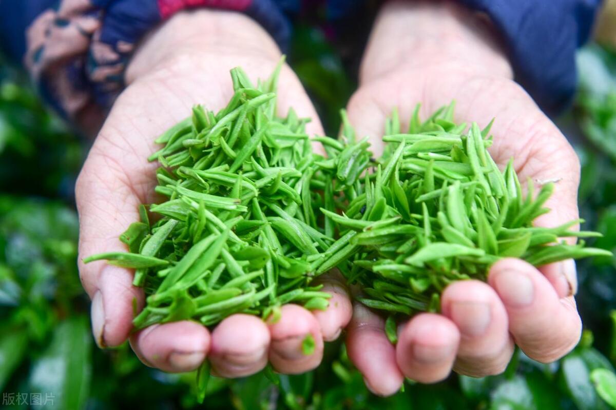 中国10大名茶排名，大红袍居首，龙井紧随其后，谁是第三昵？（中国的十大名茶排名）