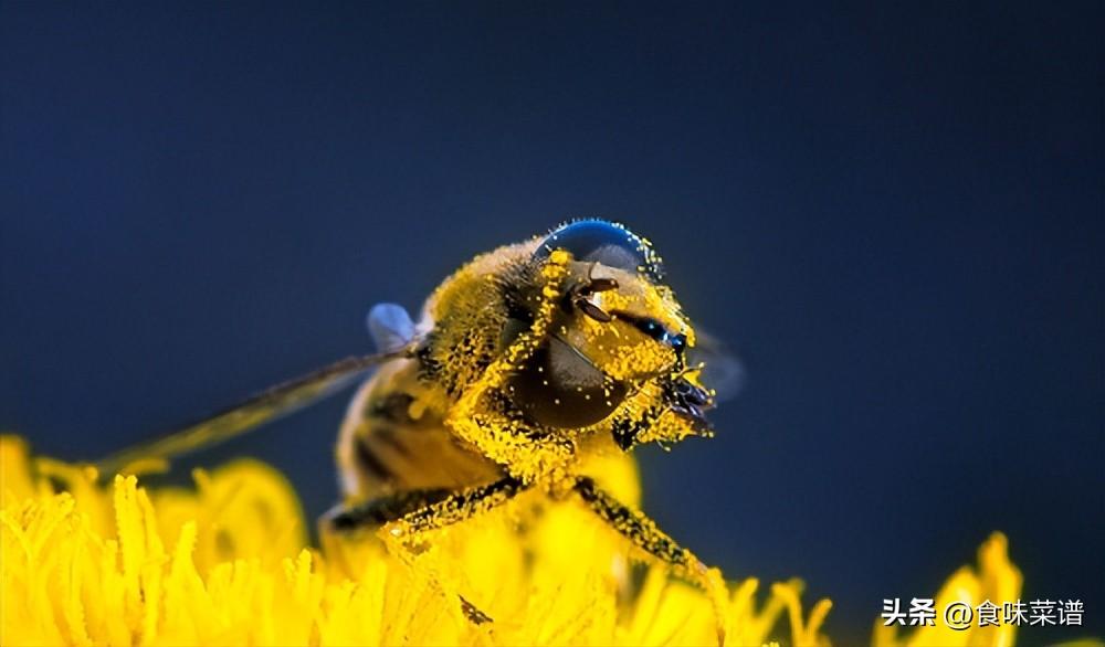 5种适合中年喝的茶叶排行榜，红茶未上榜，常喝它，身体好免疫强（中年适合什么茶）