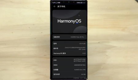100%自研，华为孟晚舟正式官宣！美媒：拦是拦不住了-华为的孟晚舟是干什么的