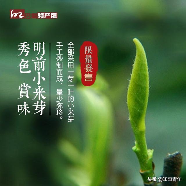 中国十大名茶排行榜：西湖龙井实至名归，四川仅蒙顶甘露一次入围（中国十大名茶2020）