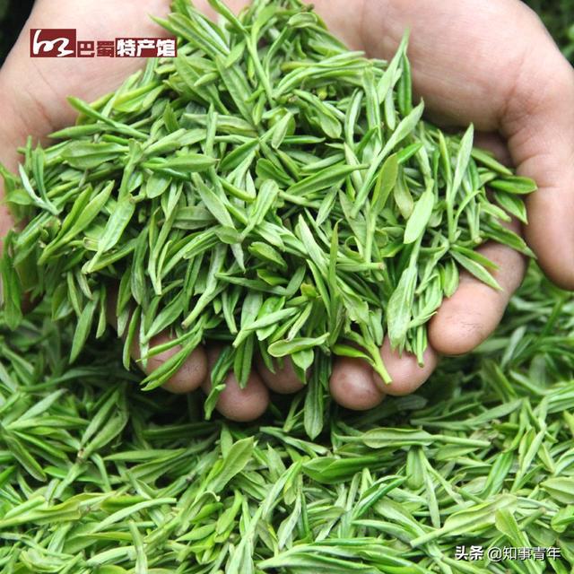 中国十大名茶排行榜：西湖龙井实至名归，四川仅蒙顶甘露一次入围（中国十大名茶2020）