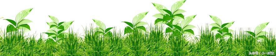 随感而发：15岁女孩因补课与父亲争执，拿刀弑父，你如何看？