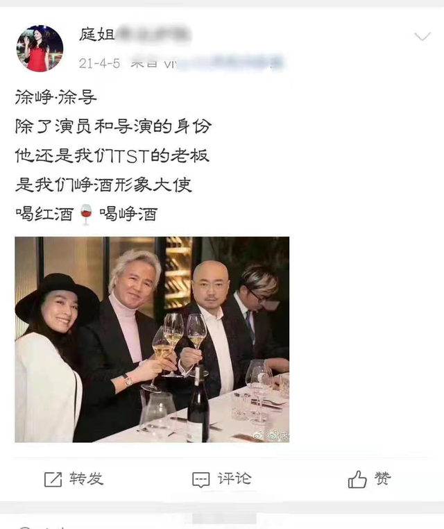官方确认陶虹曾介入张庭公司，徐峥共关联10家企业，徐峥被曝为TST公司“峥酒”的代言人（陶虹和张庭是合伙人吗知乎）