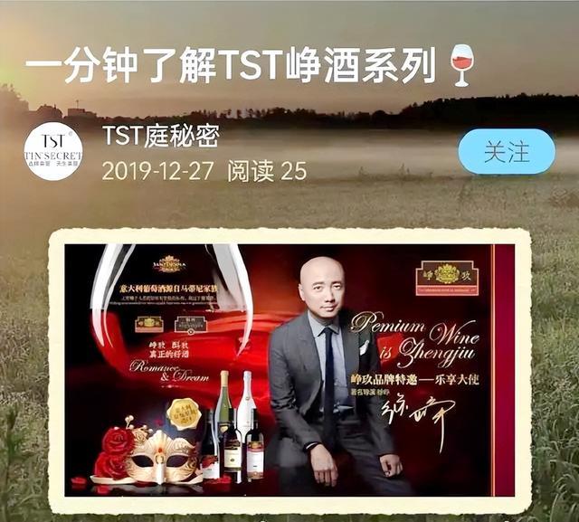 起底徐峥陶虹商业版图：丈夫与传销公司无股权交集，妻子投资涉及66家企业（徐峥陶虹合作作品大全）