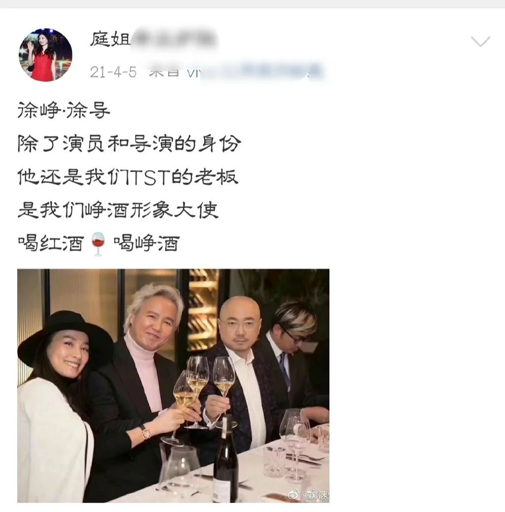 爆料！陶虹5年分红4.2亿，徐峥为TST红酒代言！盘点徐峥商业版图（陶虹2022中年女演员）