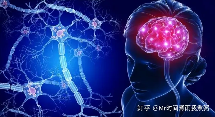 学生补脑保健品排行榜前十名：学生增强记忆力吃什么？看专家怎么说~-适合学生吃的补脑保健产品推荐