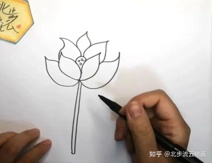 简单易学的荷花简笔画，让孩子轻松掌握绘画技巧，培养绘画兴趣（荷花简笔画 简单 手绘）