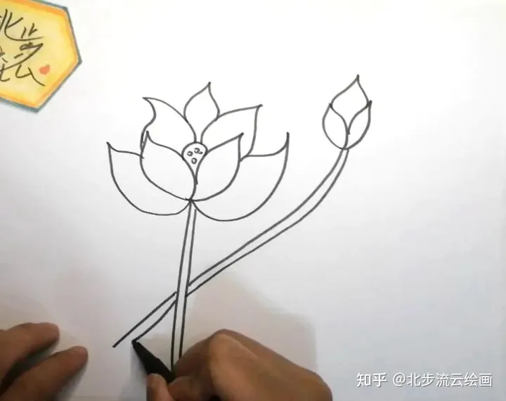 简单易学的荷花简笔画，让孩子轻松掌握绘画技巧，培养绘画兴趣（荷花简笔画 简单 手绘）