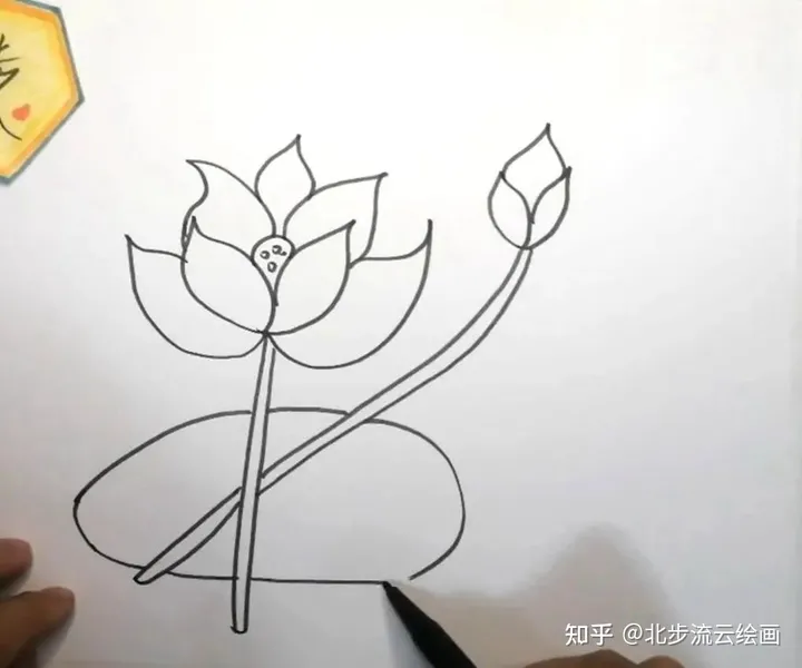 简单易学的荷花简笔画，让孩子轻松掌握绘画技巧，培养绘画兴趣（荷花简笔画 简单 手绘）