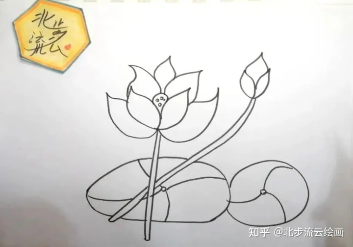 简单易学的荷花简笔画，让孩子轻松掌握绘画技巧，培养绘画兴趣（荷花简笔画 简单 手绘）