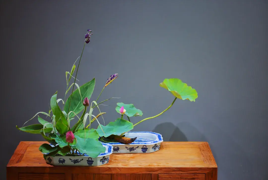 看名师插的荷花，感受今夏最美诗情（荷花插花画）