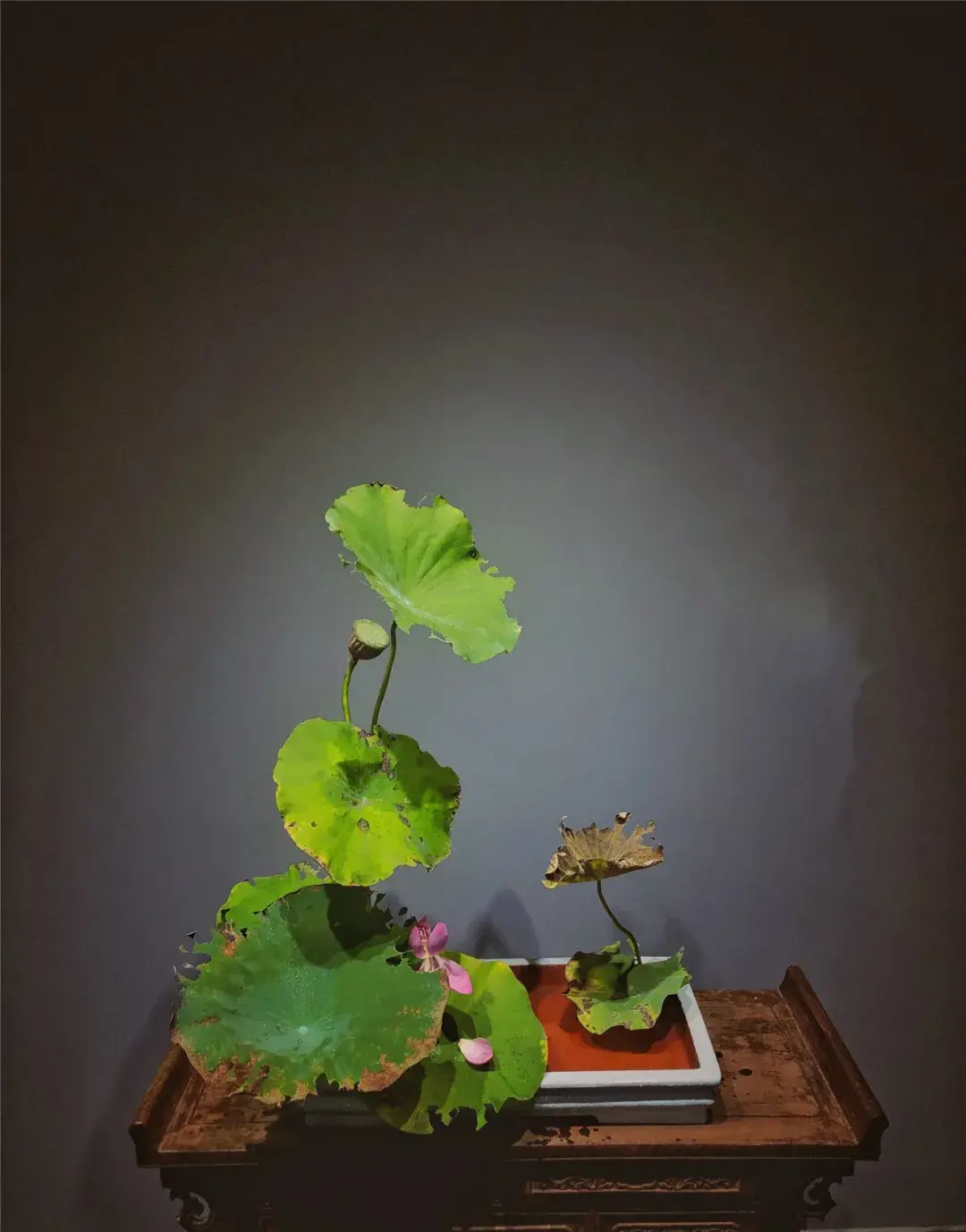 看名师插的荷花，感受今夏最美诗情（荷花插花画）