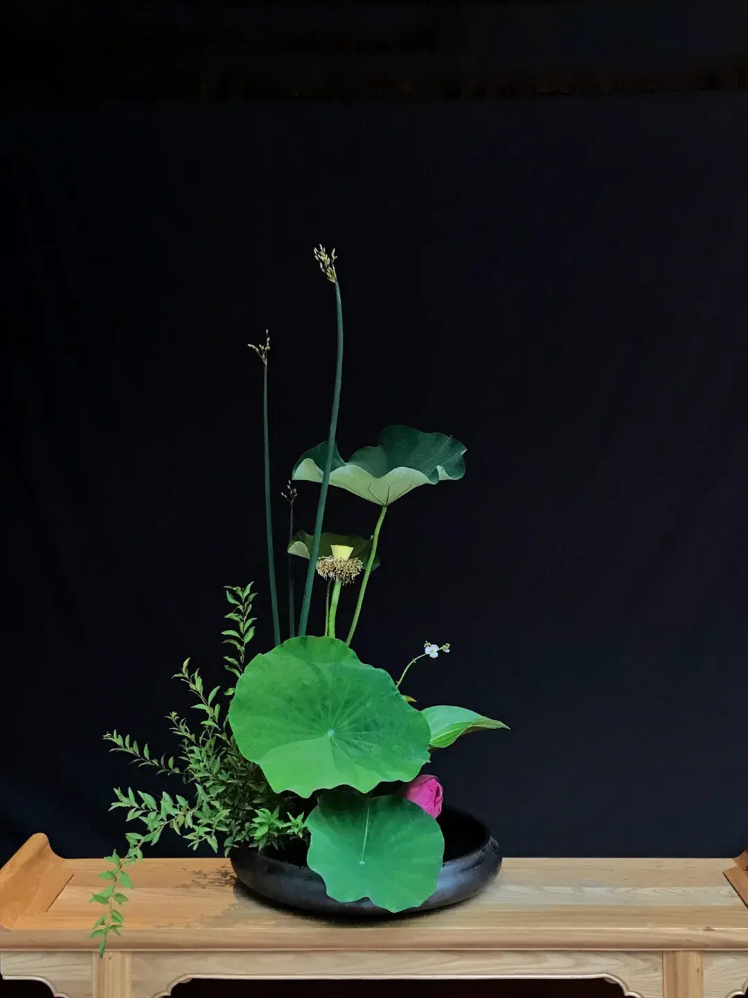 看名师插的荷花，感受今夏最美诗情（荷花插花画）